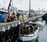 Pesca sostenibile nel Mediterraneo, è il momento di agire 